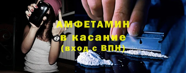прущие грибы Дмитриев