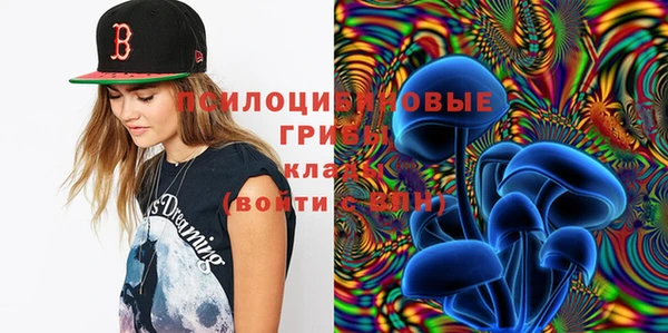 прущие грибы Дмитриев