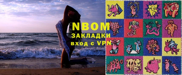 прущие грибы Дмитриев