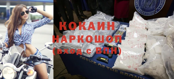 прущие грибы Дмитриев