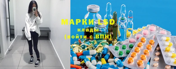 прущие грибы Дмитриев