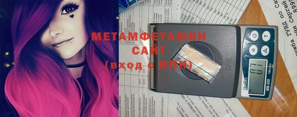 прущие грибы Дмитриев
