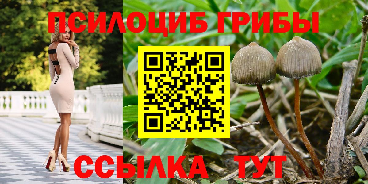 Галлюциногенные грибы ЛСД  что такое   Коркино  Псилоцибиновые грибы ЛСД  Вход с VPN 