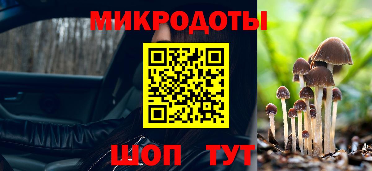 Псилоцибиновые грибы мицелий Коркино